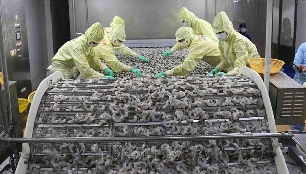 Vietnam’s export revenue rises 28 4